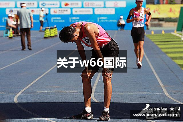 关于w66国际